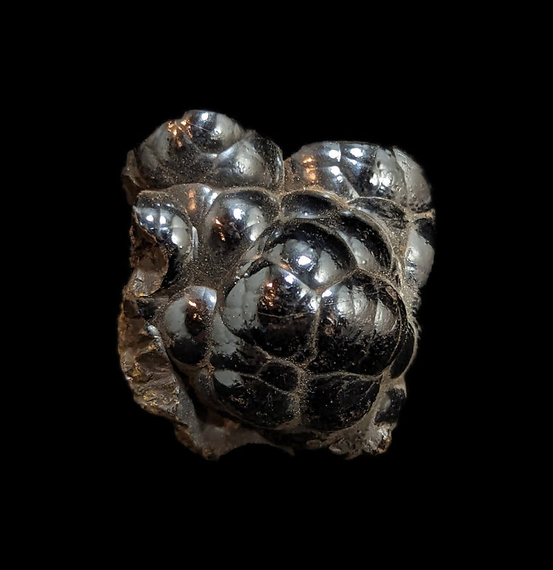 Polished Botryoidal Hematite-Minerals-Moussa-PaxtonGate