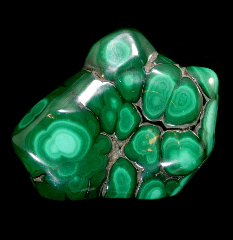 Polished Malachite Stone - Paxton Gate