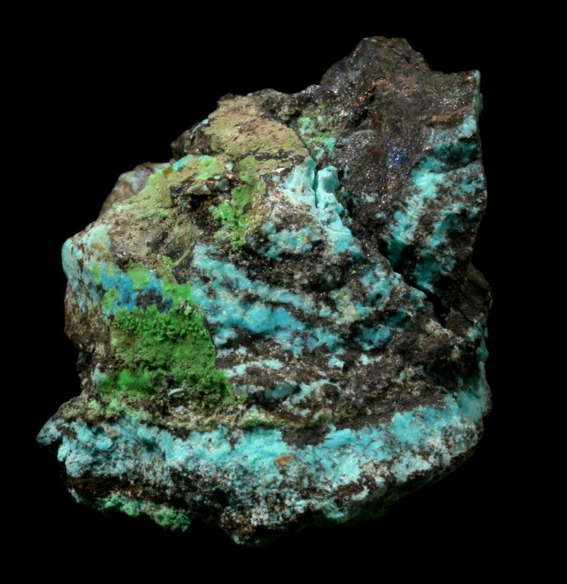 Rough Chrysocolla Stone - Paxton Gate