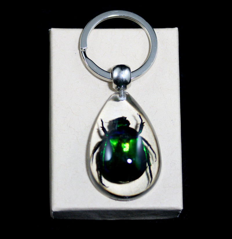 Rutelian Beetle Keychain - Paxton Gate