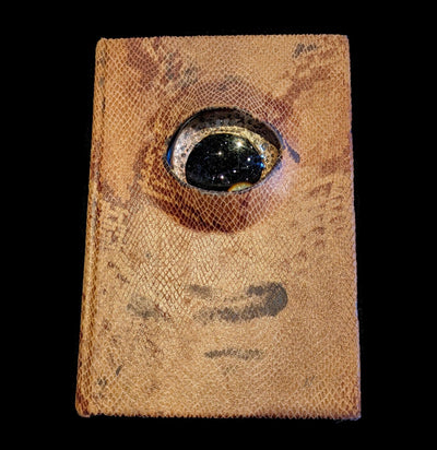 Snake Skin Book Eye-Artwork-Doug Rhodes-PaxtonGate