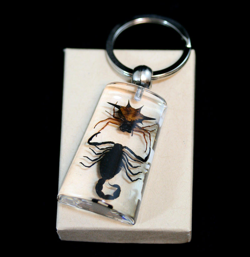 Scorpion vs. Spider Keychain - Paxton Gate