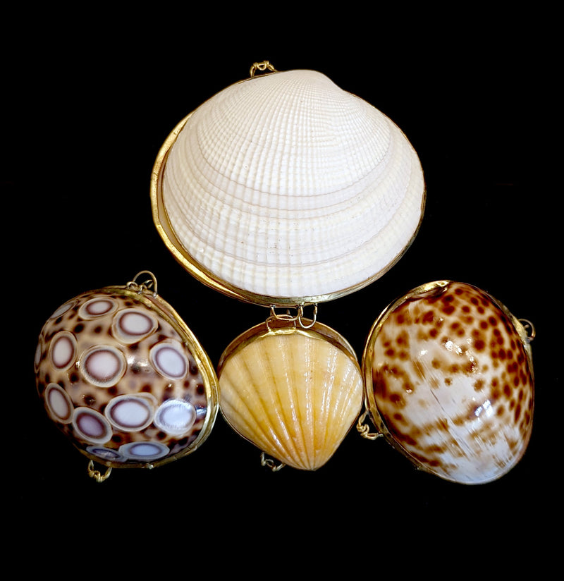 Seashell Boxes-CaseBwlBox-GeoCentral-PaxtonGate