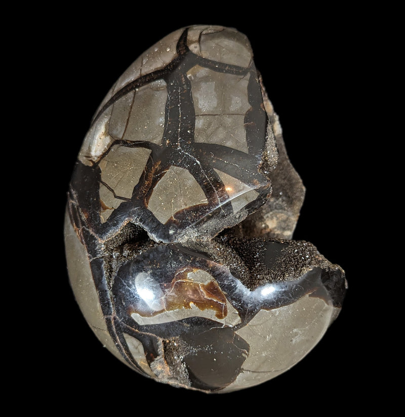 Septarian Dragon Egg-Minerals-Driftstone Pueblo-PaxtonGate