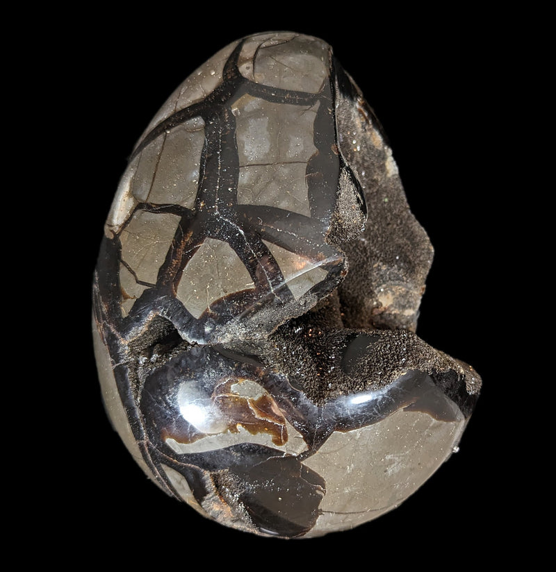 Septarian Dragon Egg-Minerals-Driftstone Pueblo-PaxtonGate