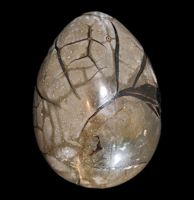 Septarian Dragon Egg-Minerals-Driftstone Pueblo-PaxtonGate