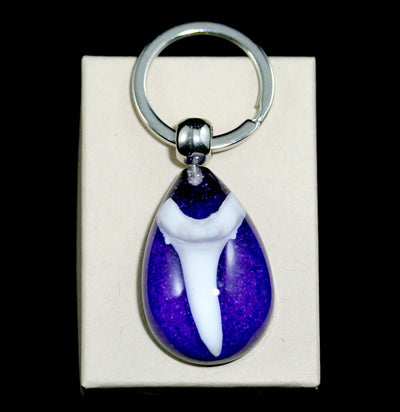 Shark Tooth Key Chain - Paxton Gate