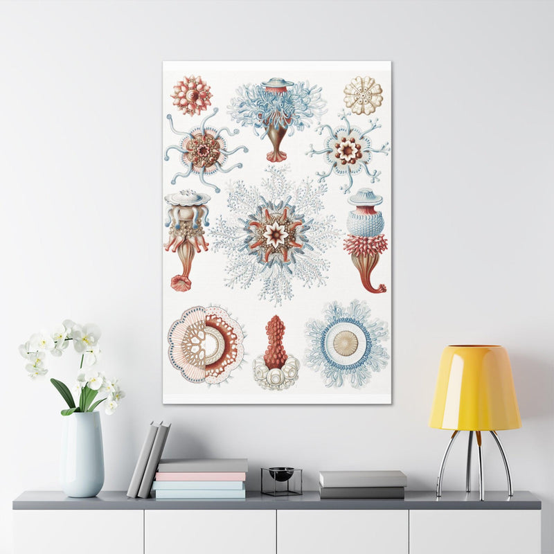 "Siphonophorae Staatsquallen" By Ernst Haeckel Canvas Gallery Wraps-Canvas-Printify-PaxtonGate