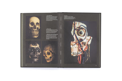 Skulls: Portraits of the Dead and the Stories They Tell - Paxton Gate