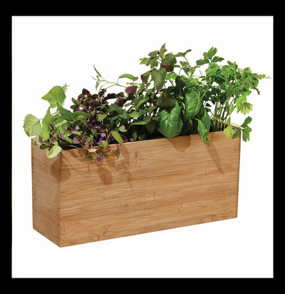 Smart Hydroplanter - Paxton Gate