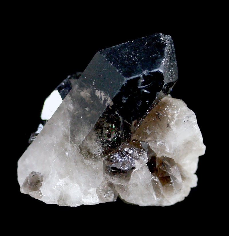 Smokey Quartz Crystal Cluster - Paxton Gate