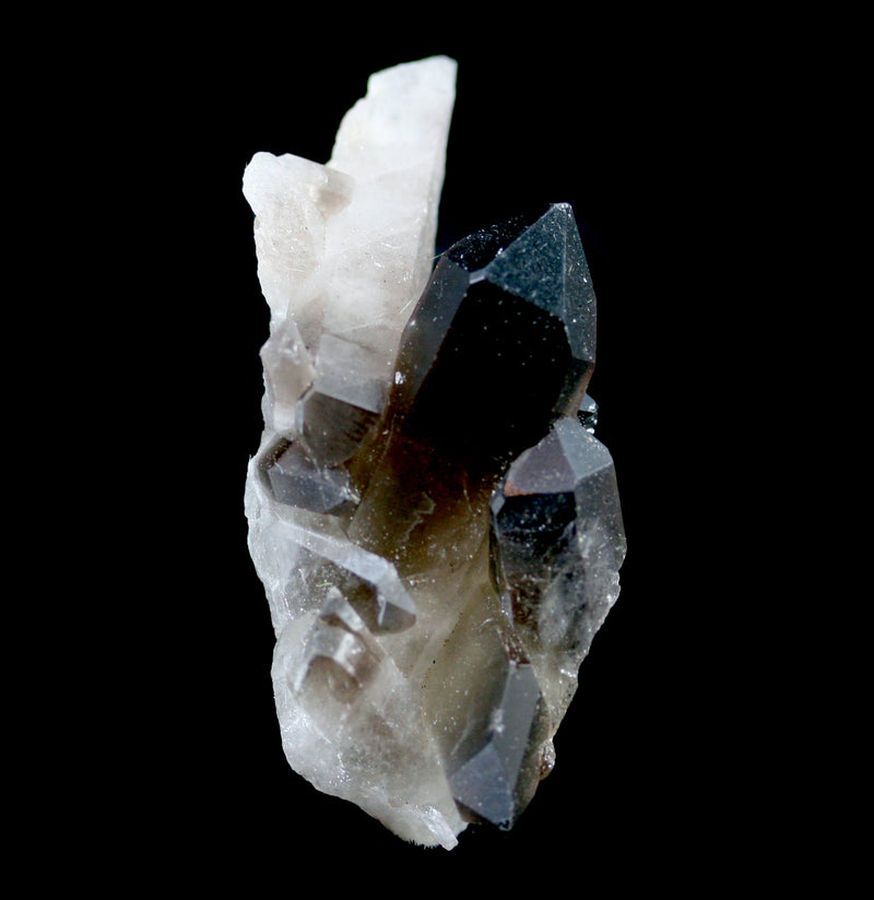 Smokey Quartz Crystal Cluster - Paxton Gate