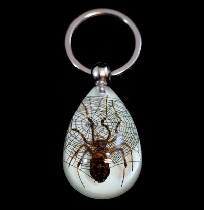 Spider With Glow In The Dark Web Keychain - Paxton Gate