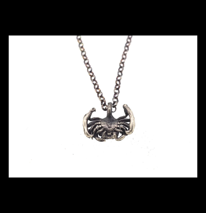 Sterling Silver Crab Necklace - Paxton Gate