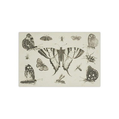 Swallow-Tailed Butterfly and Other Insects Satin Poster - Paxton Gate