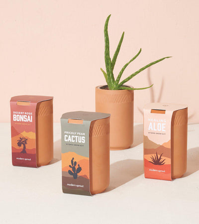 Terracotta Growing Kit - Paxton Gate