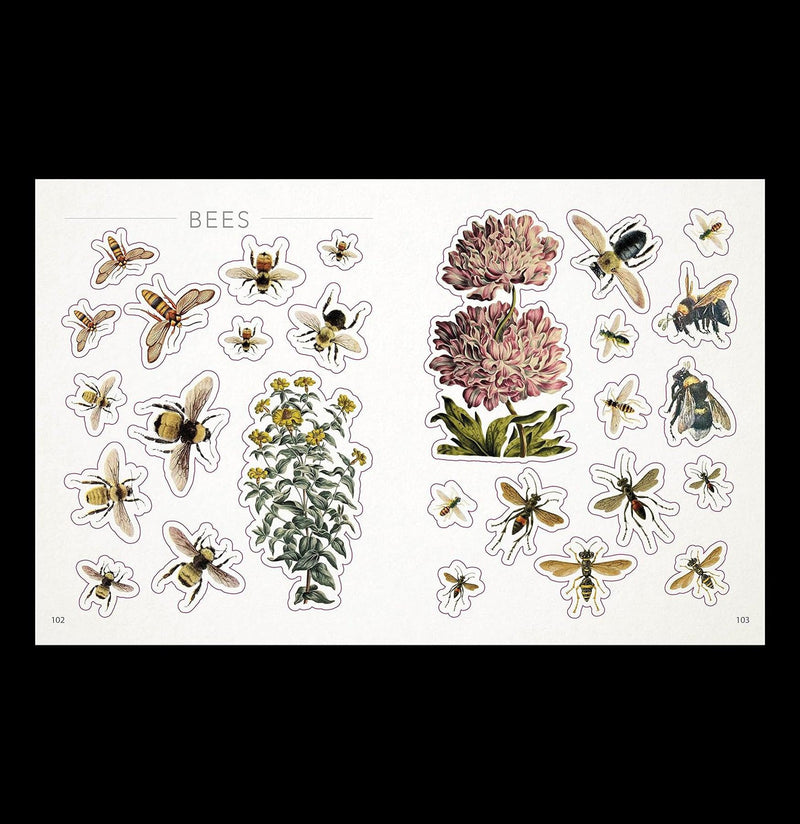 Bees Birds Butterflies Stickerbook-Stickers-Penguin Random House-PaxtonGate