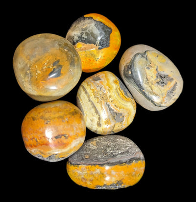 Tumbled Bumblebee Jasper Stone-Minerals-Quasar Gems-PaxtonGate