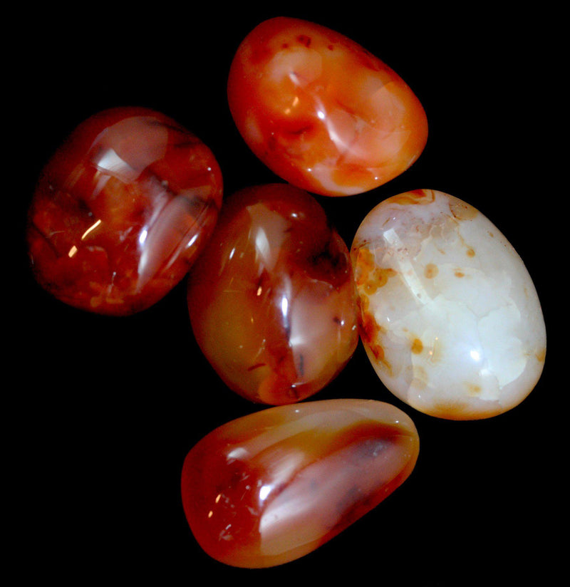 Tumbled Carnelian Stone - Paxton Gate