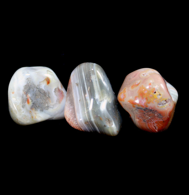 Tumbled Crazy Lace Agate Stone - Paxton Gate