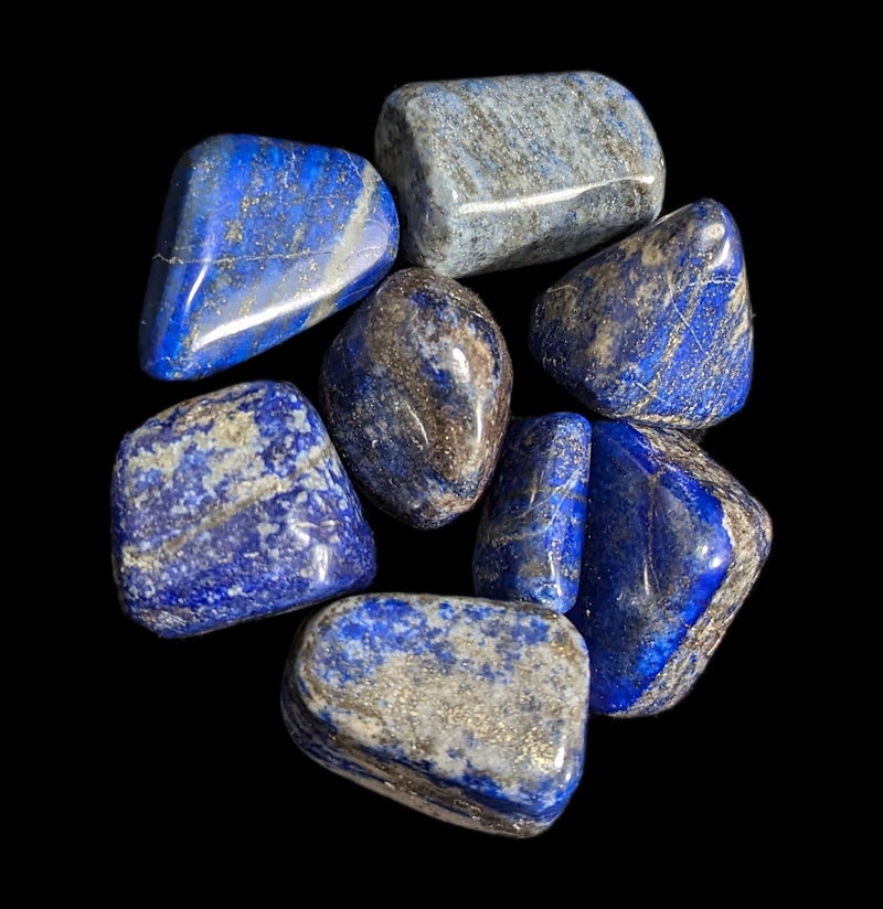 Tumbled Lapis Lazuli Stone-Minerals-Quasar Gems-PaxtonGate