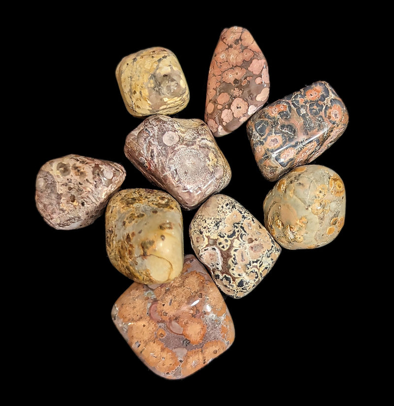 Tumbled Leopard Skin Jasper Stone-Minerals-Quasar Gems-PaxtonGate