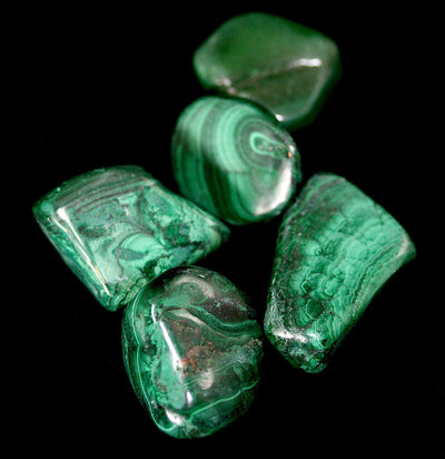 Tumbled Malachite Stones - Paxton Gate