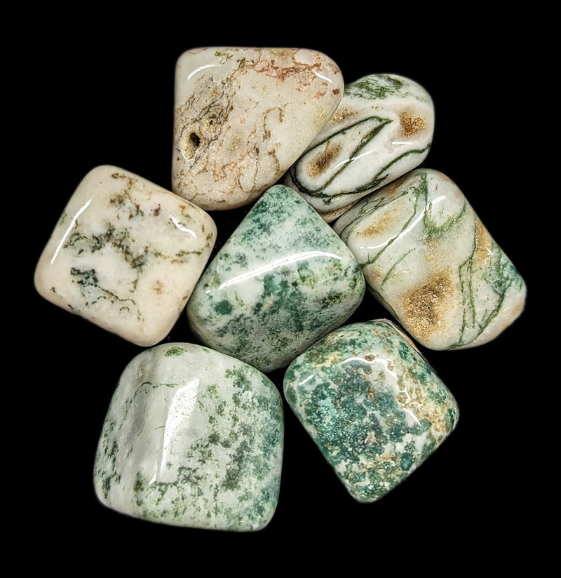 Tumbled Moss Agate Stone-Minerals-Quasar Gems-PaxtonGate