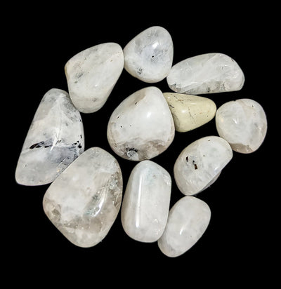 Tumbled Rainbow Moonstone-Minerals-Elite Exports-PaxtonGate