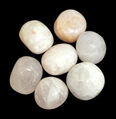 Tumbled Rose Quartz Ovals - Paxton Gate