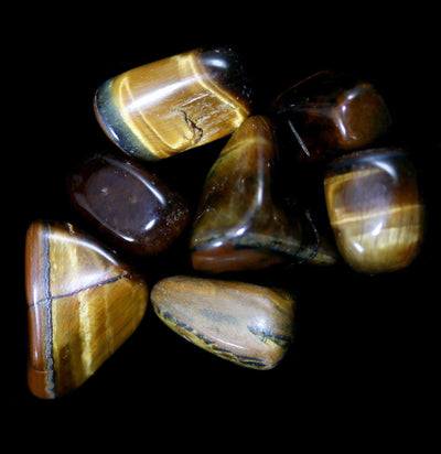 Tumbled Tiger's Eye Stone-Minerals-Quasar Gems-PaxtonGate