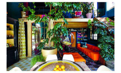 Ultimate Wonder Plant: Your Urban Jungle Interior - Paxton Gate