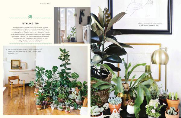 Urban Jungle: Living and Styling with Plants - Paxton Gate