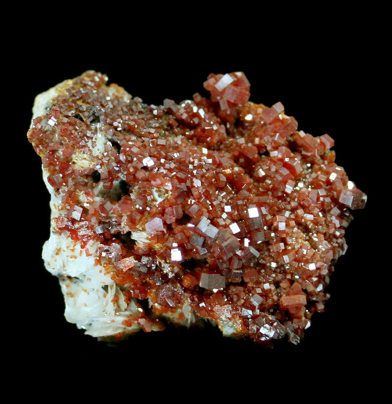 Vanadinite Crystal Cluster-Minerals-Esseouani Soulfiane-PaxtonGate