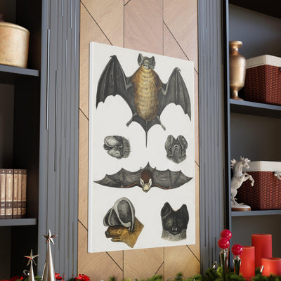 Various Bats Illustration Canvas Gallery Wraps-Canvas-Printify-PaxtonGate