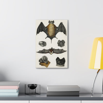 Various Bats Illustration Canvas Gallery Wraps-Canvas-Printify-PaxtonGate