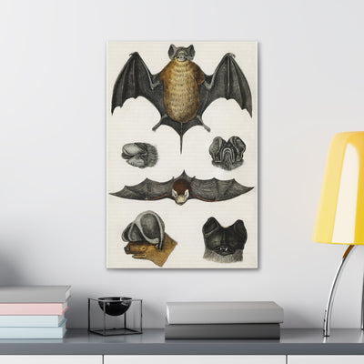 Various Bats Illustration Canvas Gallery Wraps-Canvas-Printify-PaxtonGate