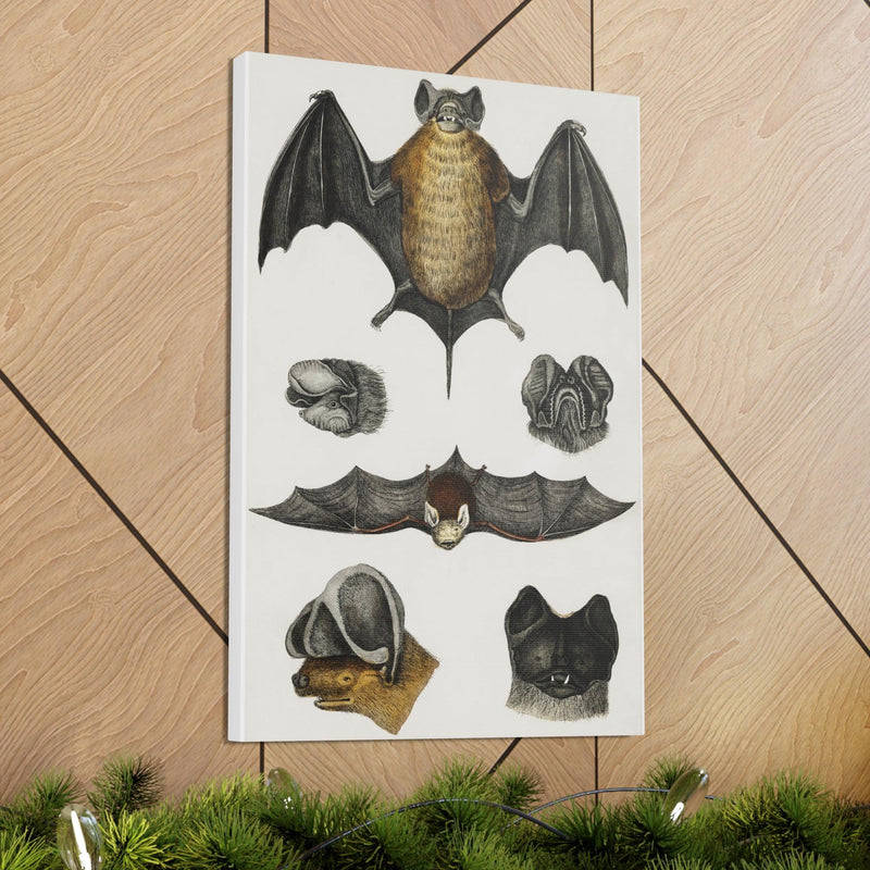 Various Bats Illustration Canvas Gallery Wraps-Canvas-Printify-PaxtonGate