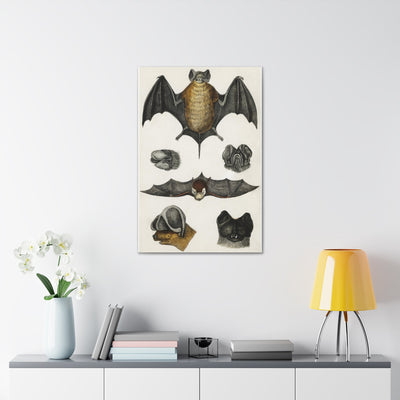 Various Bats Illustration Canvas Gallery Wraps-Canvas-Printify-PaxtonGate