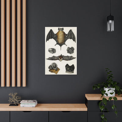 Various Bats Illustration Canvas Gallery Wraps-Canvas-Printify-PaxtonGate