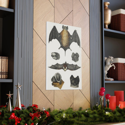 Various Bats Illustration Canvas Gallery Wraps-Canvas-Printify-PaxtonGate