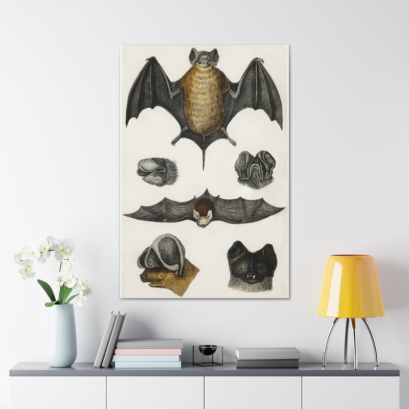 Various Bats Illustration Canvas Gallery Wraps-Canvas-Printify-PaxtonGate