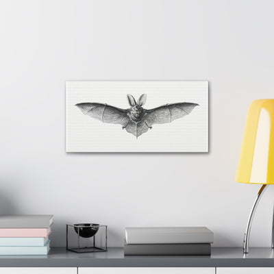 Vintage Bat Illustration By Ernst Haeckel Canvas Gallery Wraps-Canvas-Printify-PaxtonGate