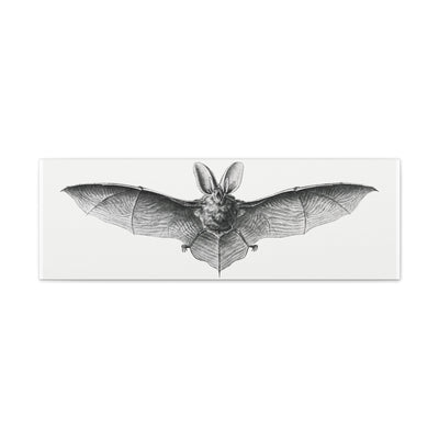 Vintage Bat Illustration By Ernst Haeckel Canvas Gallery Wraps-Canvas-Printify-PaxtonGate