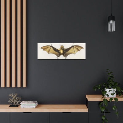 Vintage Roufsette Bat Illustration By Ernst Haeckel Canvas Gallery Wraps-Canvas-Printify-PaxtonGate