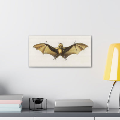 Vintage Roufsette Bat Illustration By Ernst Haeckel Canvas Gallery Wraps-Canvas-Printify-PaxtonGate