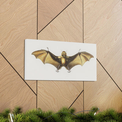 Vintage Roufsette Bat Illustration By Ernst Haeckel Canvas Gallery Wraps-Canvas-Printify-PaxtonGate