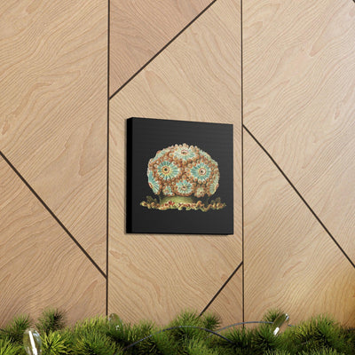 Vintage Tunicate Illustration By Ernst Haeckel Canvas Gallery Wraps-Canvas-Printify-PaxtonGate