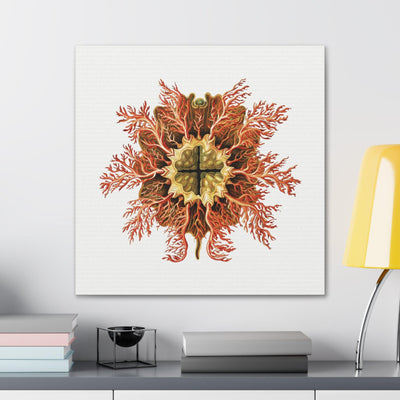 Vintage Tunicate Illustration By Ernst Haeckel Canvas Gallery Wraps-Canvas-Printify-PaxtonGate