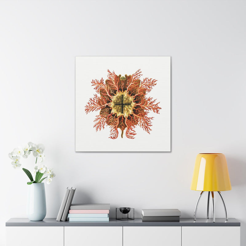 Vintage Tunicate Illustration By Ernst Haeckel Canvas Gallery Wraps-Canvas-Printify-PaxtonGate